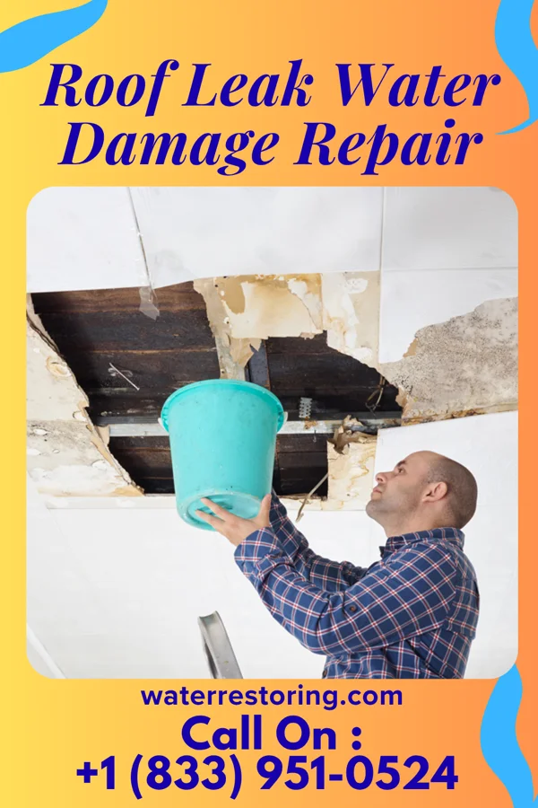 Roof Leak Water Damage Repair in Maryhill, WA